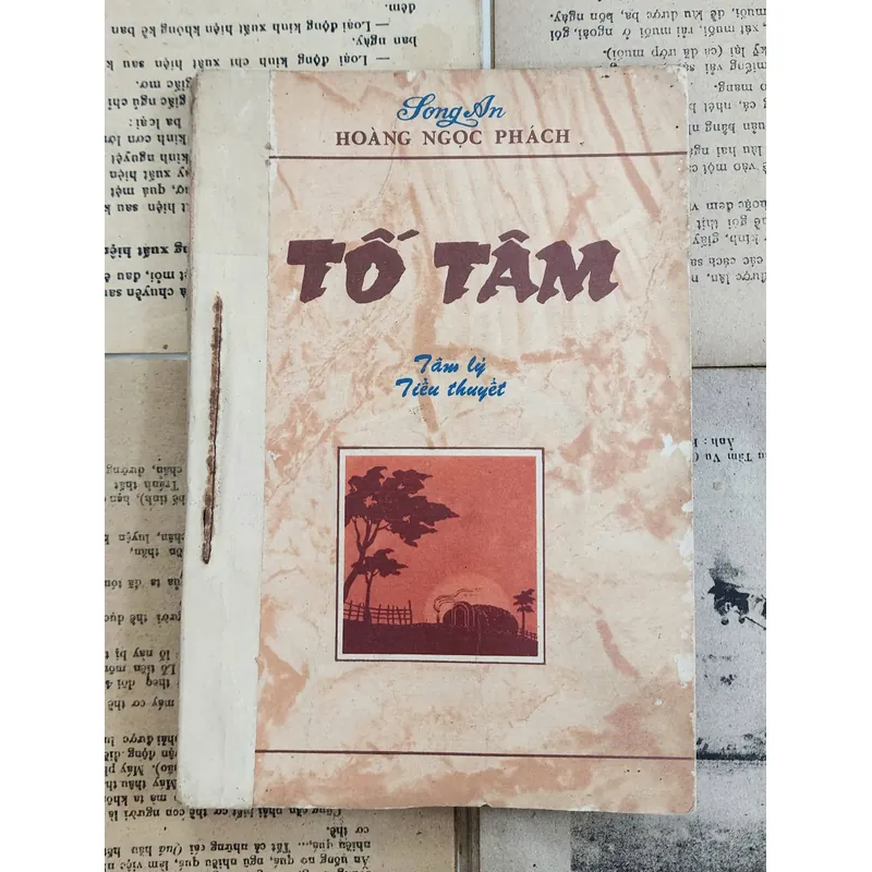 TỐ TÂM - Tiểu thuyết đầu tiên của Việt Nam viết bằng chữ Quốc Ngữ 726799