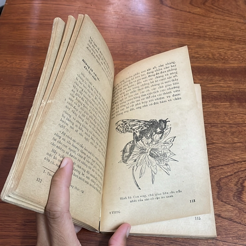 II Sách Xưa: Tìm Hiểu Thế Giới Màu Xanh - Trần Hợp, Vũ Văn Chuyên - 1977 503843
