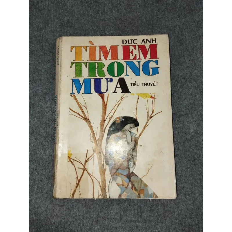 TÌM EM TRONG MƯA - ĐỨC ÁNH 588712