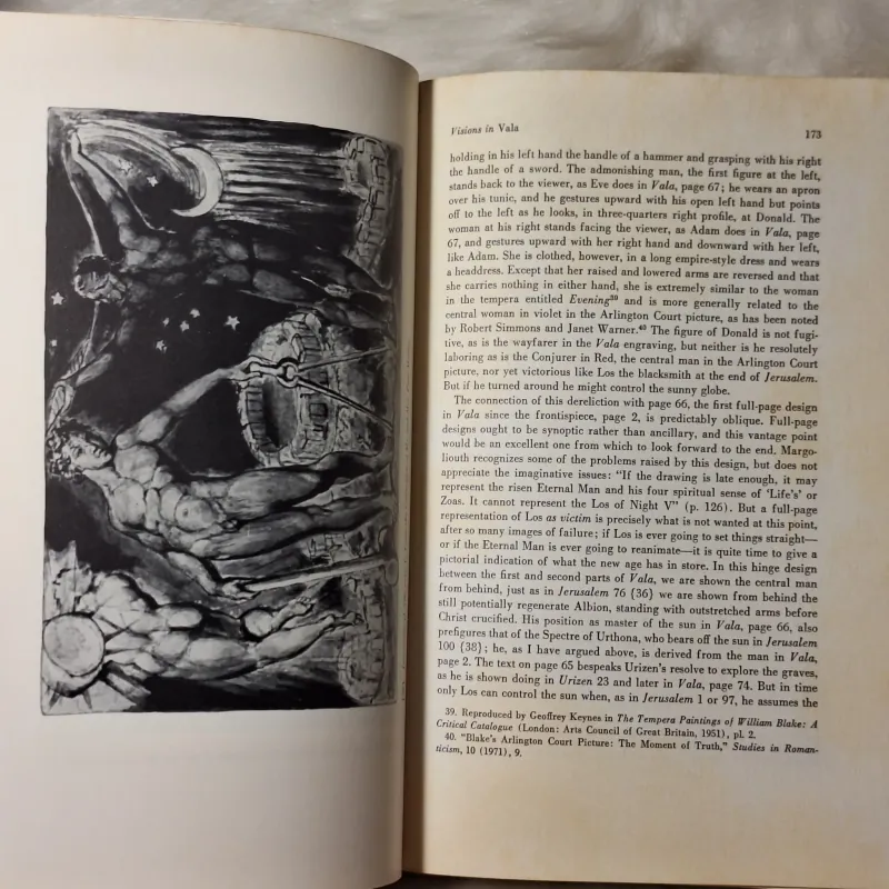 Blake’s Sublime Allegory: Essays on The Four Zoas, Milton, and Jerusalem 783247