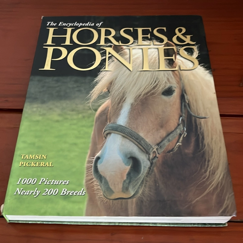 PICTURE BOOK The encyclopedia of horses & ponies 536946