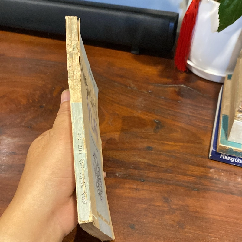 NHIẾP CHÍNH Ỷ LAN, TIỂU THUYẾT LỊCH SỬ (XB 1985) 505539