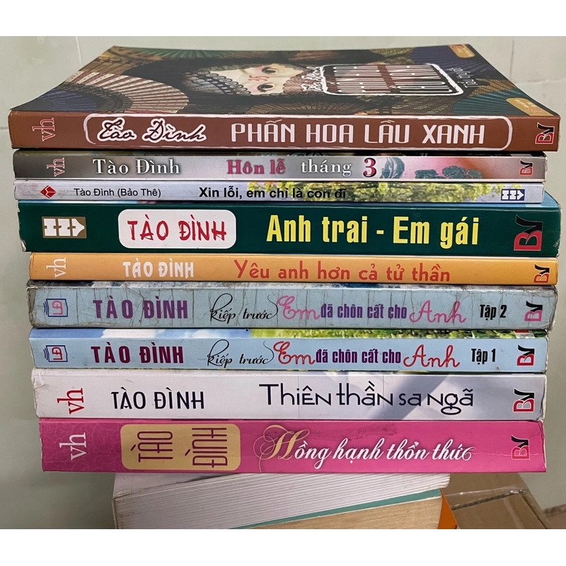 Tiểu thuyết Tào Đình 464065