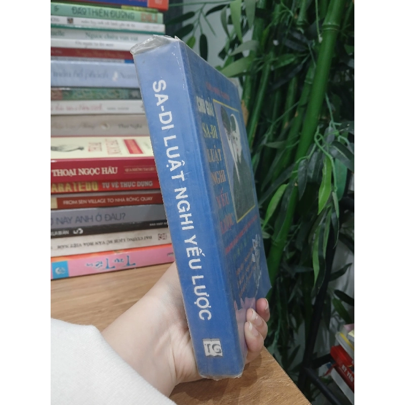 Chú Giải Sa-di Luật Nghi Yếu Lược - dịch Tỳ- kheo Phước Nghĩa 749316