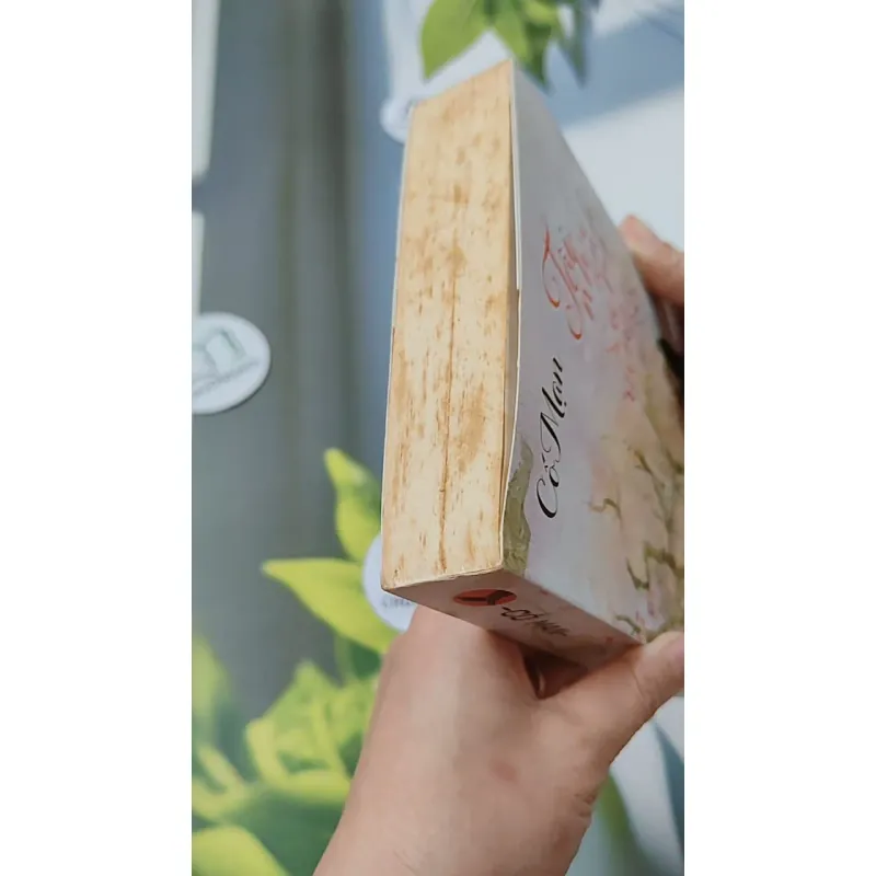 Tôi Như Ánh Dương Rạng Rỡ - Cố Mạn 744697