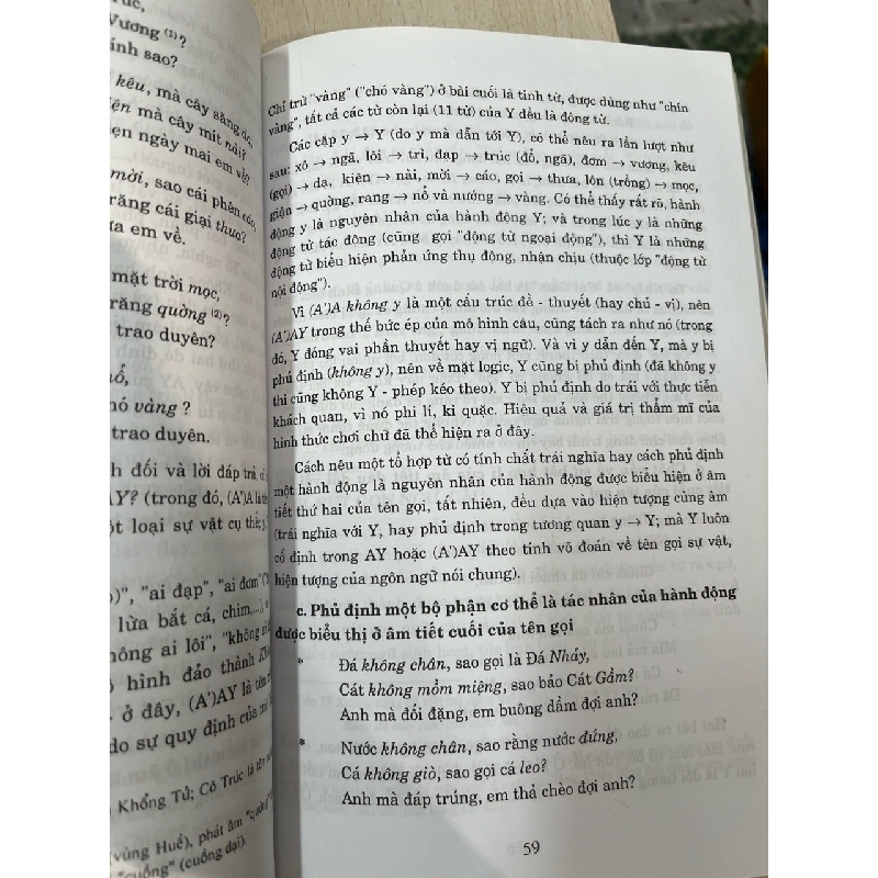 Nghệ thuật chơi chữ trong văn chương người Việt - Triều Nguyên 752037