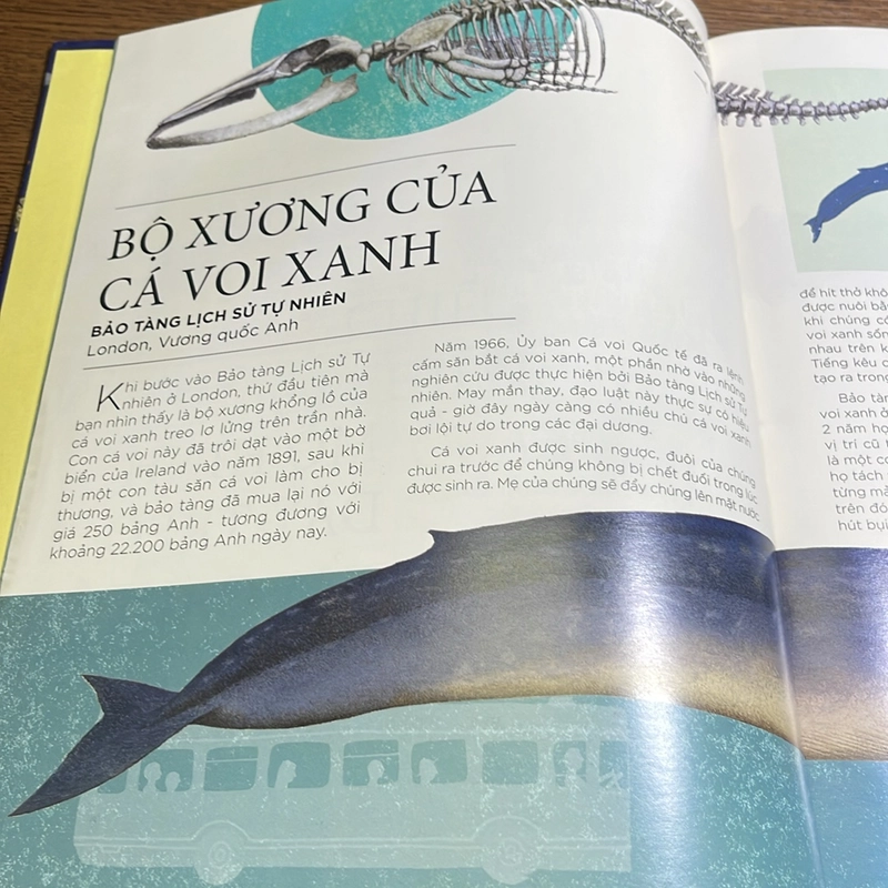 Bách khoa tri thức về các kỳ quan thế giới Kỳ quan trong viện bảo tàng 508276