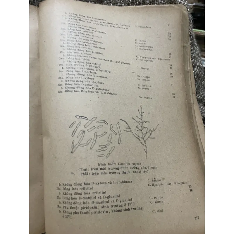 Một số phương pháp nghiên cứu sinh vật học 2 -320 trang khổ lớn;1976 1009228