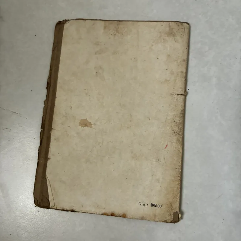 Viên ngọc bé nhỏ 1046869