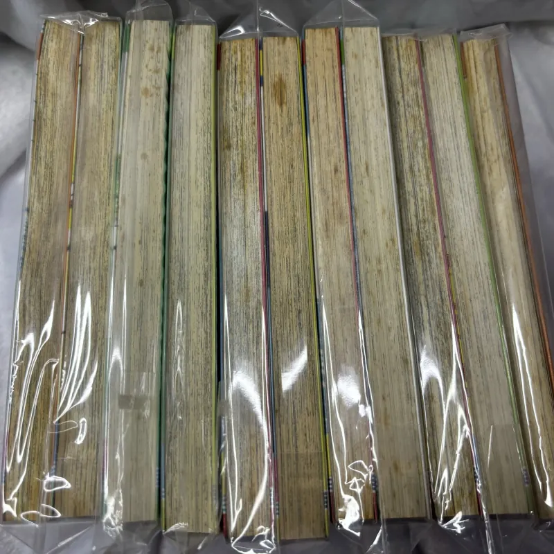 Truyện tranh Tsubasa - Giấc mơ sân cỏ 1-11 995945