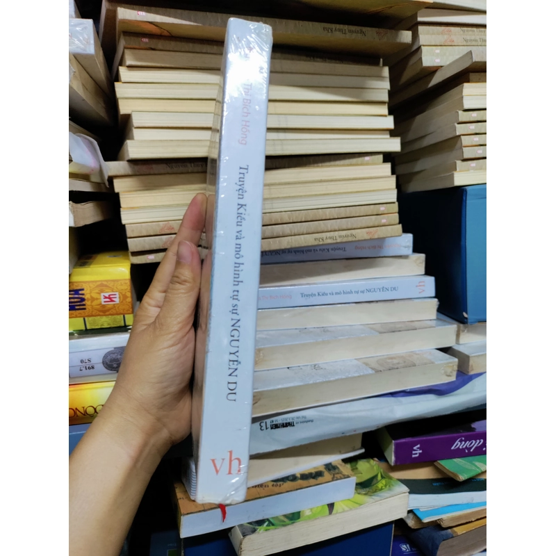 Truyện Kiều và mô hình tự sự Nguyễn Du 446784