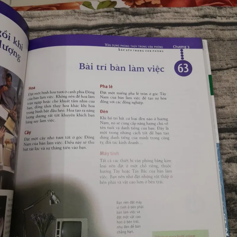 Phong Thủy để Thành công trong công việc và kinh doanh. Tg Lillian Too 577381