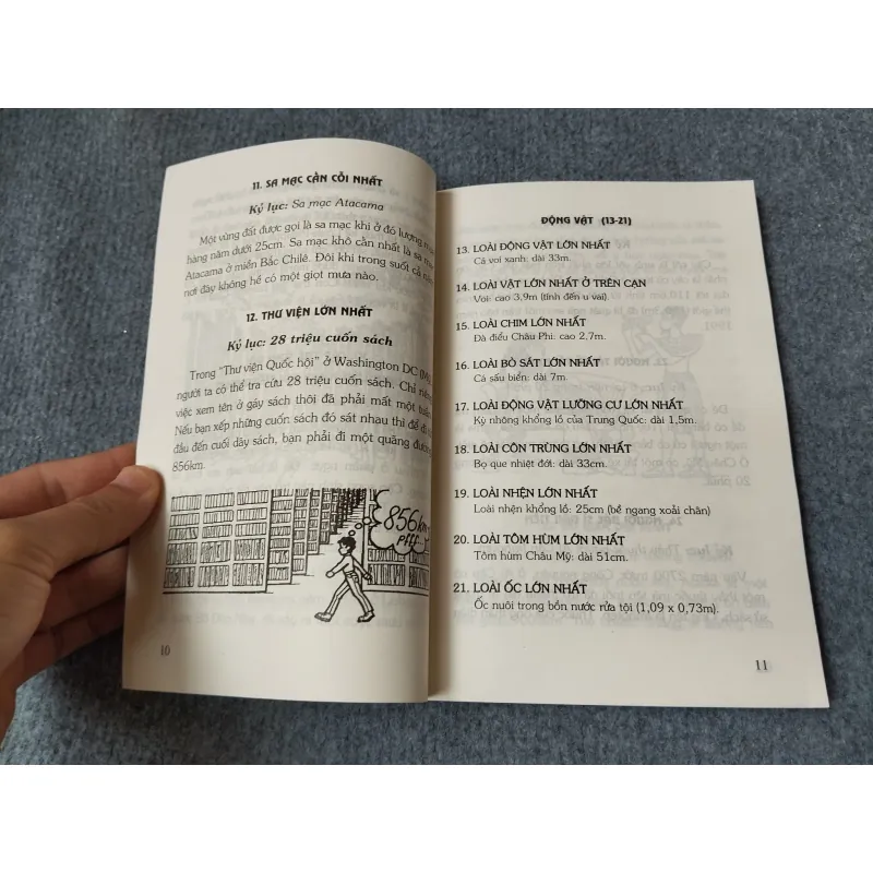 365 KỶ LỤC KỲ LẠ NHẤT 720714