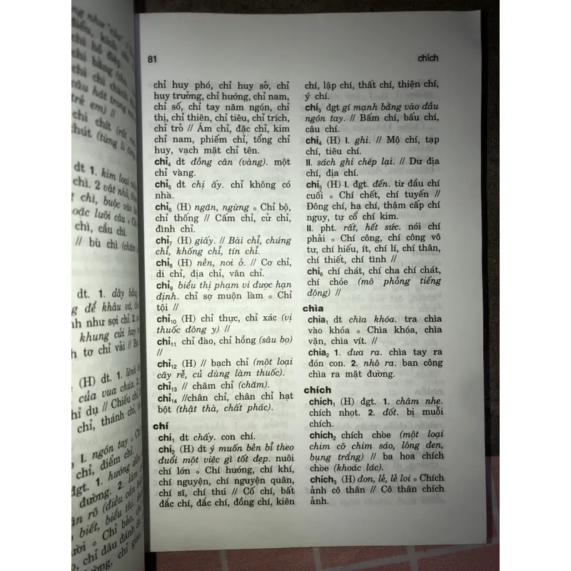 Từ điển đồng âm tiếng Việt  731490