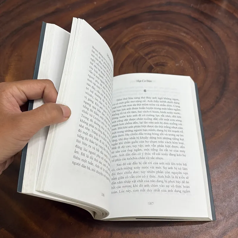 II Tiểu Thuyết: Hạt Cơ Bản - MICHEL HOUELLEBECQ - 2006 976268