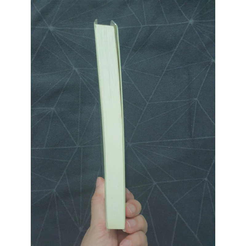 "Bản du ca cuối cùng" - Erich Maria Remarque 521557