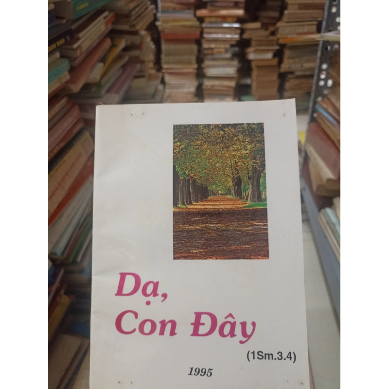 Dạ, Con Đây 🌻 508496