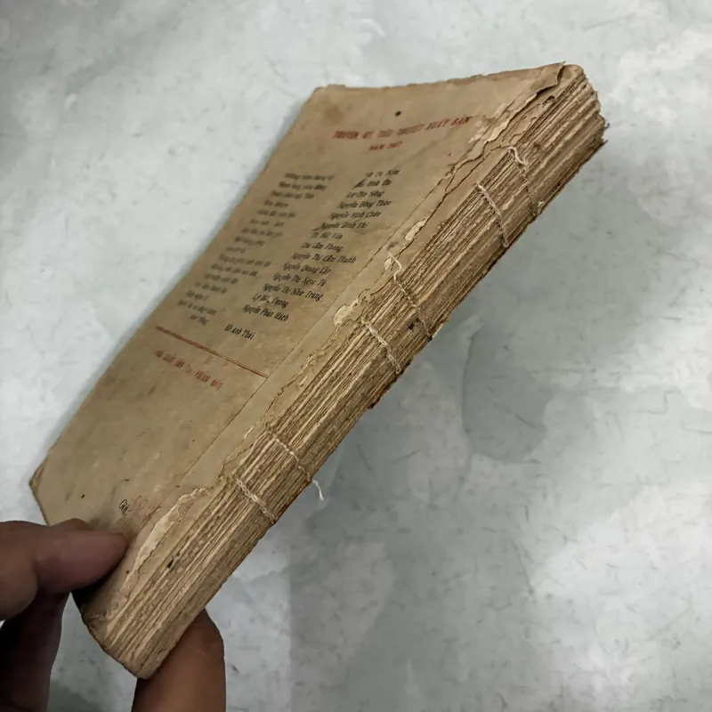 Một thời hoa mẫu đơn - Nguyễn Quang Thân 1031616