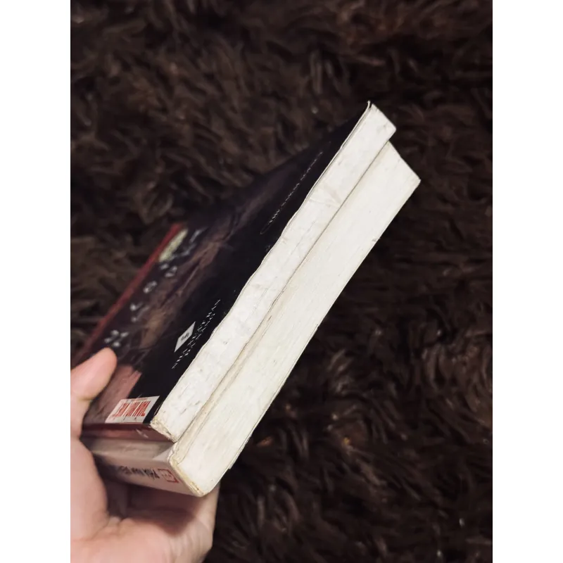 Sau cơn động đất + phía tây 997857