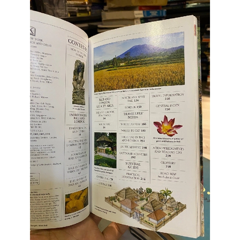 Eyewitness Travel: Bali & Lombok 1026262