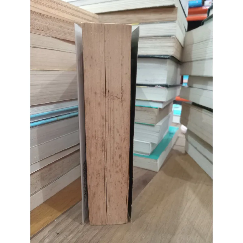 Dark paradise - Tami Hoag 704110