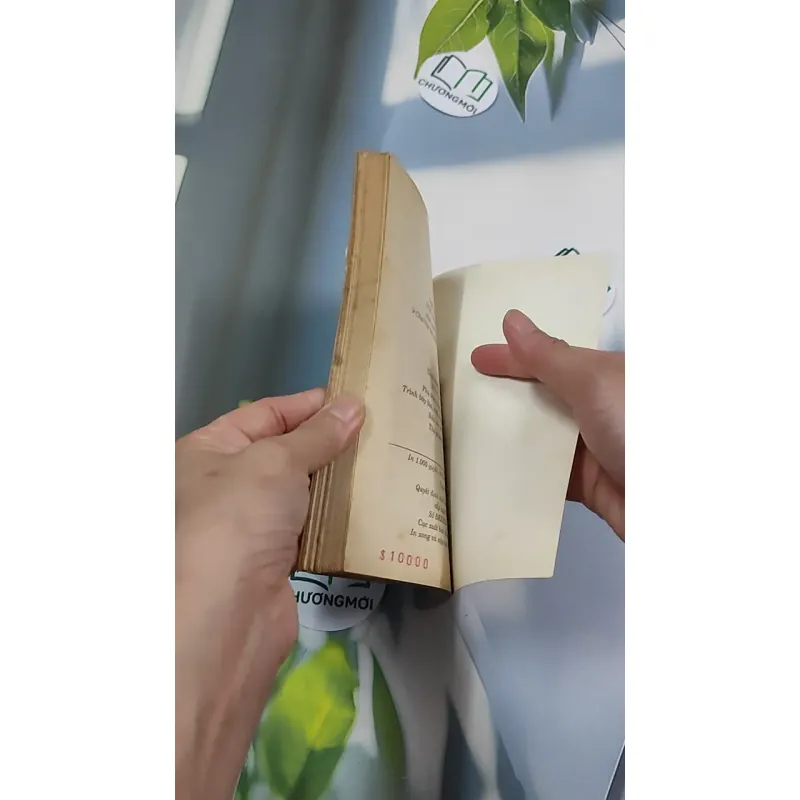 [XƯA] Nói Chuyện Cao Đài (1998) - Thiên Vương Tinh 776149