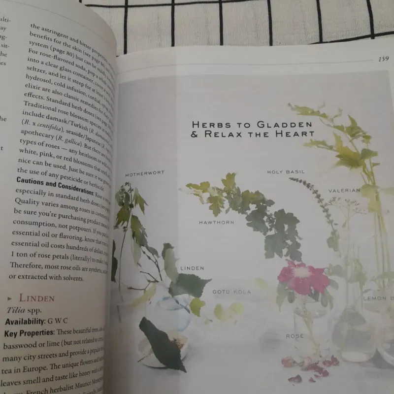 Sách màu t.Anh- CÂN BẰNG CƠ THỂ BẰNG THẢO MỘC- BODY BALANCE HERBAL GUIDE. Tg. M. Grove 706840