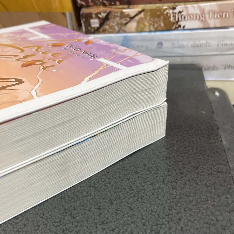 (Đam mỹ) - Lâu rồi không gặp - Bắc Nam ( 2 tập ) 973881