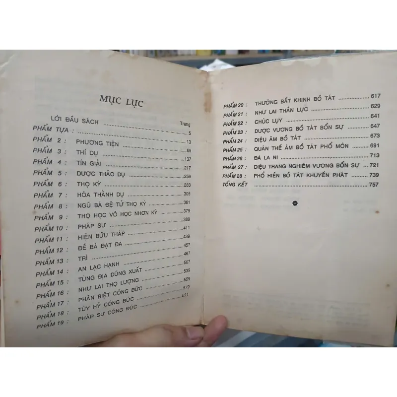 KINH DIỆU PHÁP LIÊN HOA GIẢNG GIẢI - THÍCH THANH TỪ 1023098