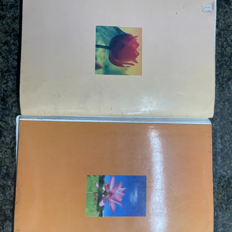 Isan không dấu chân trên trời xanh, Cuộc sống tình yêu và tiếng cười Osho 735780