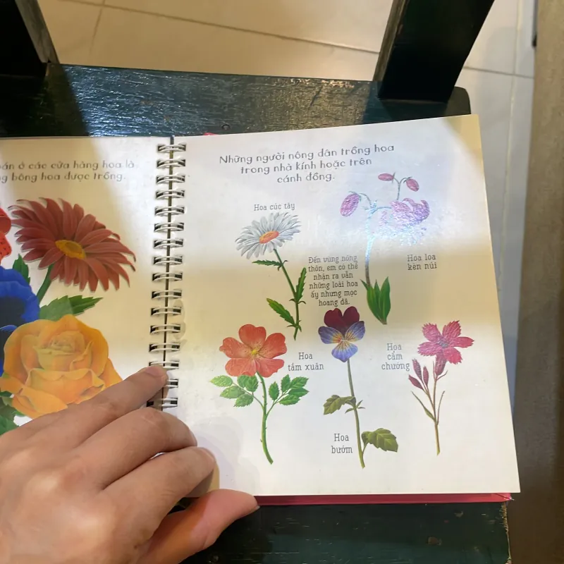 Những khám phá đầu tiên của tớ - Hoa - nhã nam 2018  1027415