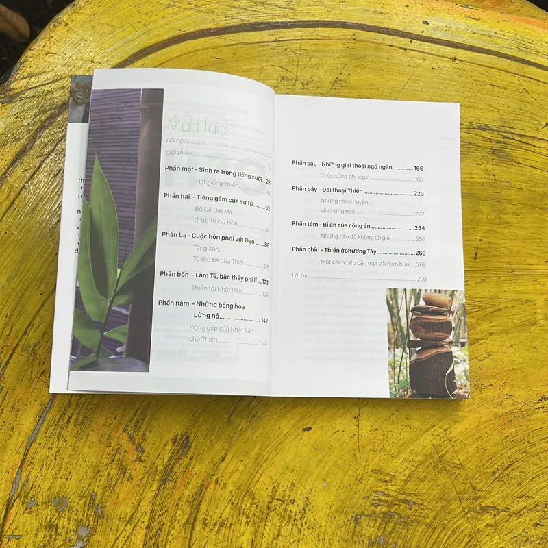 COMBO THIỀN - 3 PHÚT THIỀN - CẨM NANG CỦA MỘT THIỀN GIA cách tháo gỡ các nút thắt 708098