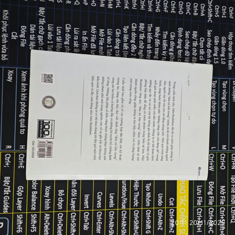 HOMECOMING - Hồi Sinh Đứa Trẻ Bên Trong Bạn - John Bradshaw 702843