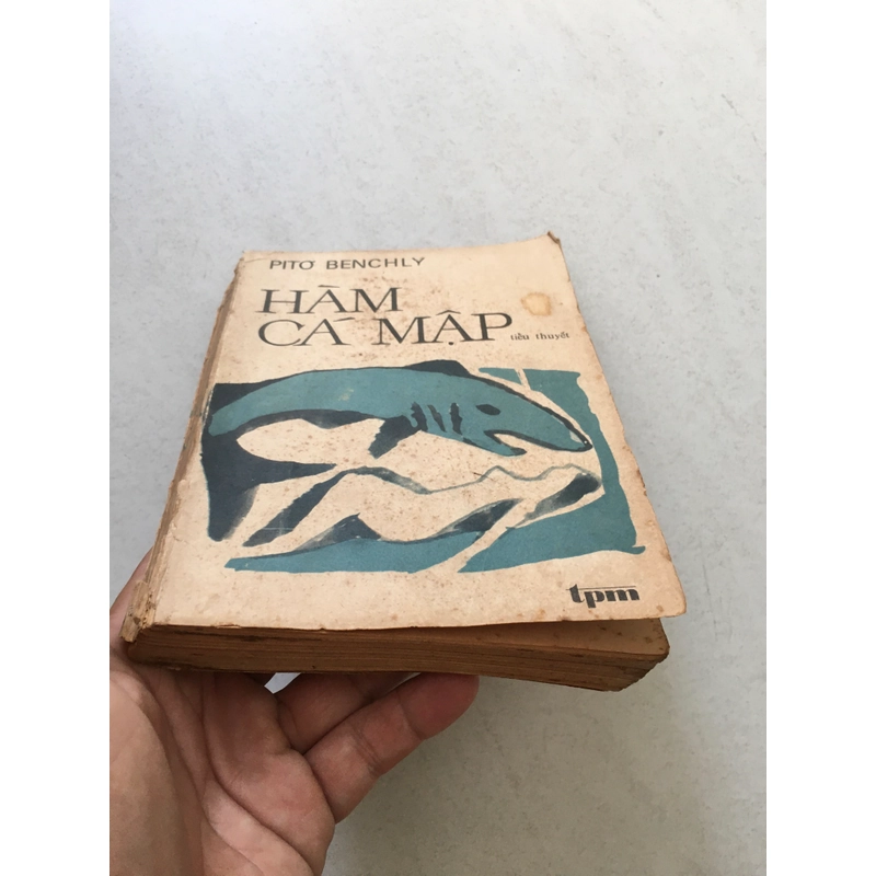 Hàm cá mập - Pito Benchly 523220