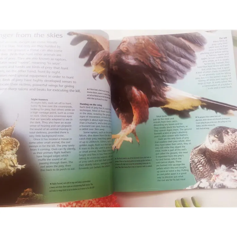 Dangerous Creatures 1002054