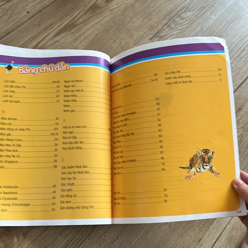 125 loài động vật đáng yêu - sách in màu đẹp cho bé 639924