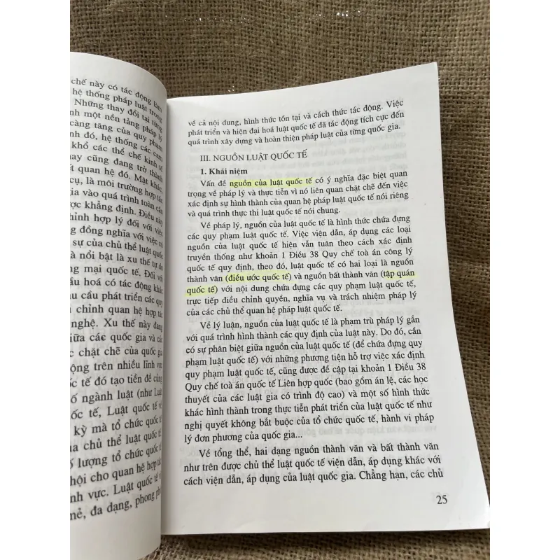 GIÁO TRÌNH LUẬT QUỐC TẾ- 500 trang 993502