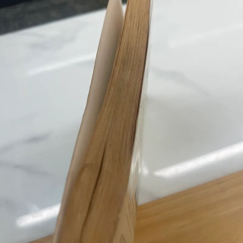 The birth of tragedy Friedrich Nietzsche 563314