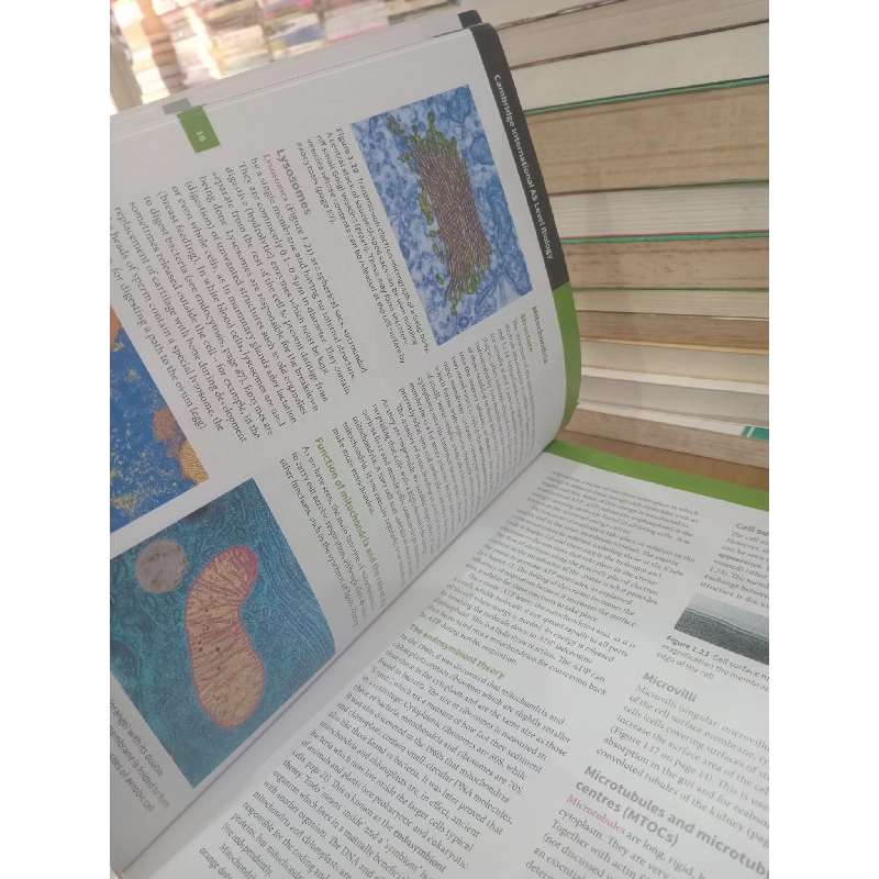 Cambridge International AS and A Level: Biology, Coursebook - Jones, Fosbery, Gregory, Taylor 957407