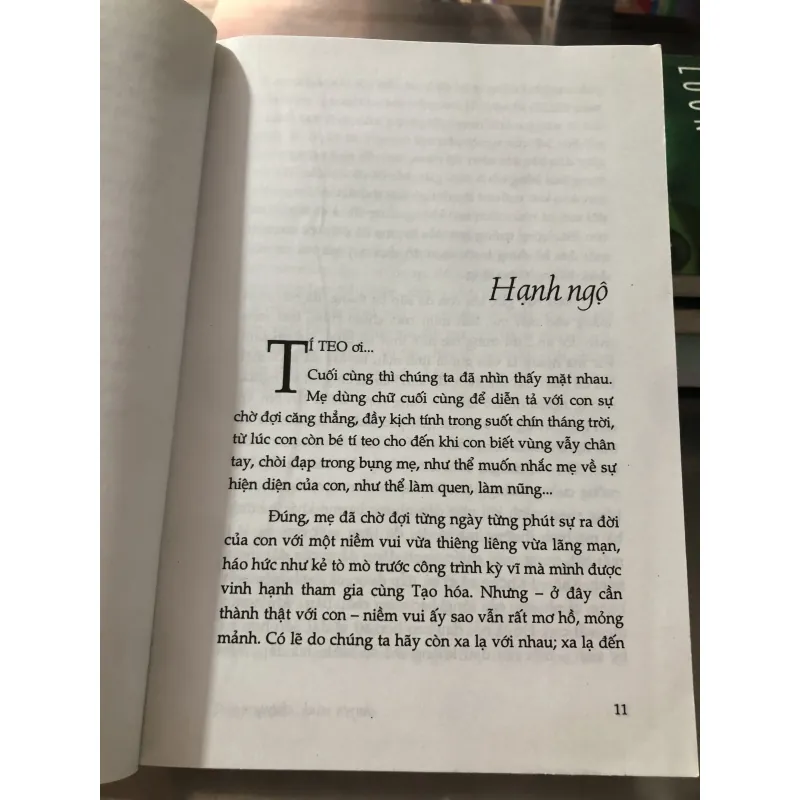 Chuyện tình chuyện người -Việt Linh 1012902