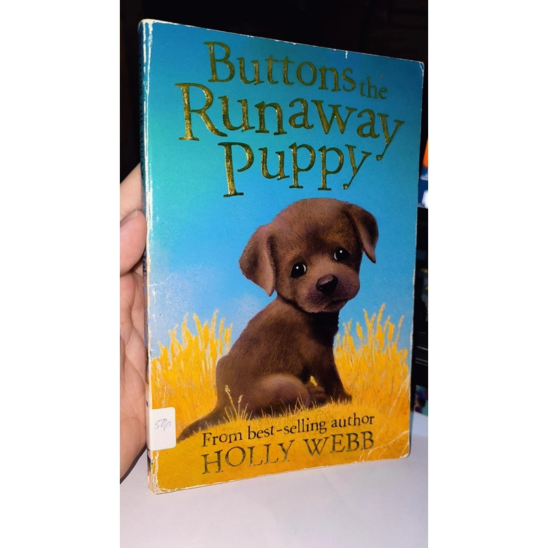 Ngoại văn cũ về cún cưng cho bé Runaway Puppy - Holly web (bìa sờn) 496147
