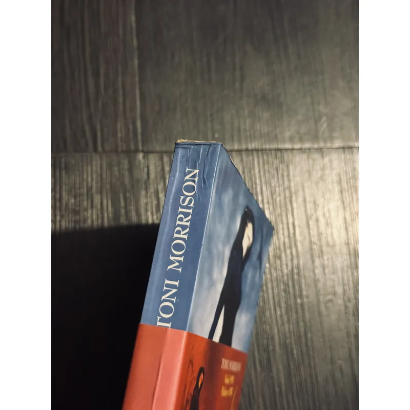 Người yêu dấu 595721