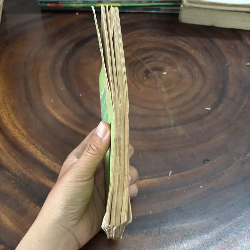 II Sách Kỹ Thuật: Tự Làm Lấy Mười Thùng Loa Hifi - PIERRE CHAUVIGNY - 1987 996996