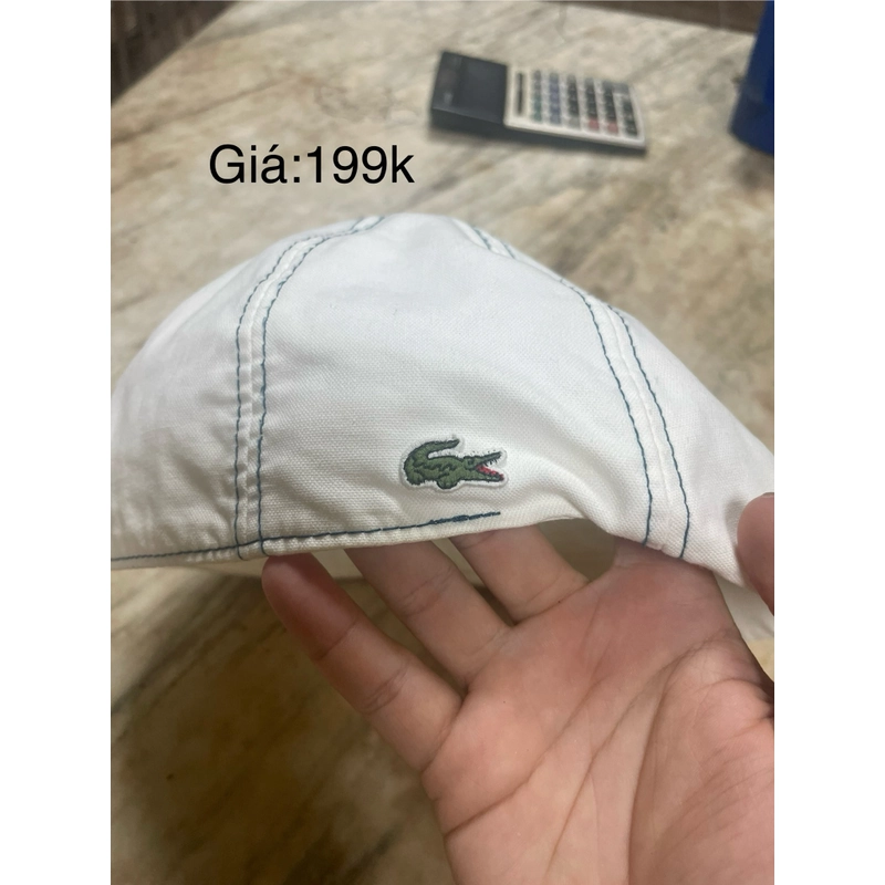 Nón cá sấu 524763