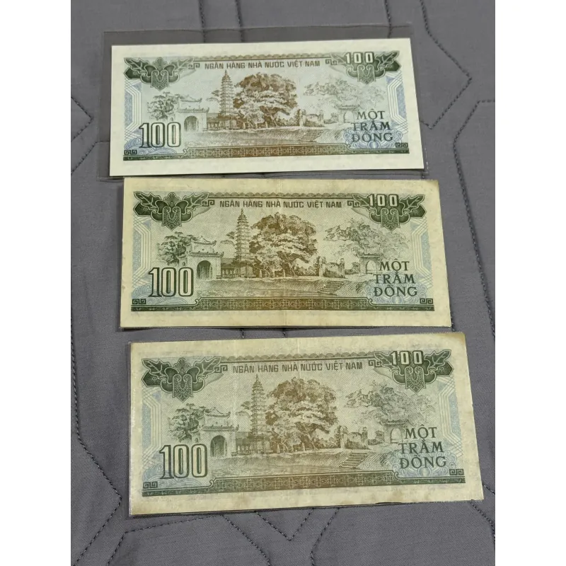 100 đồng chùa Phổ Minh-1991 1033012