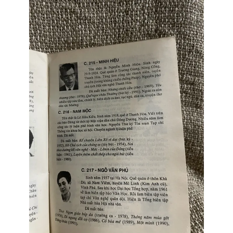 Nhà văn Việt Nam hiện đại 1024517