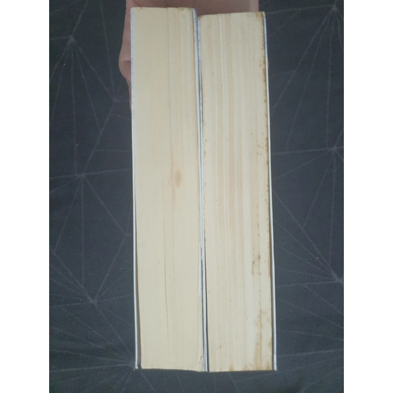 "Thời gian tươi đẹp" - Đinh Mặc 497222