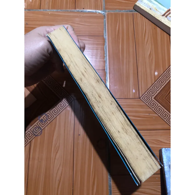 Búp sen xanh - Sơn Tùng 714107