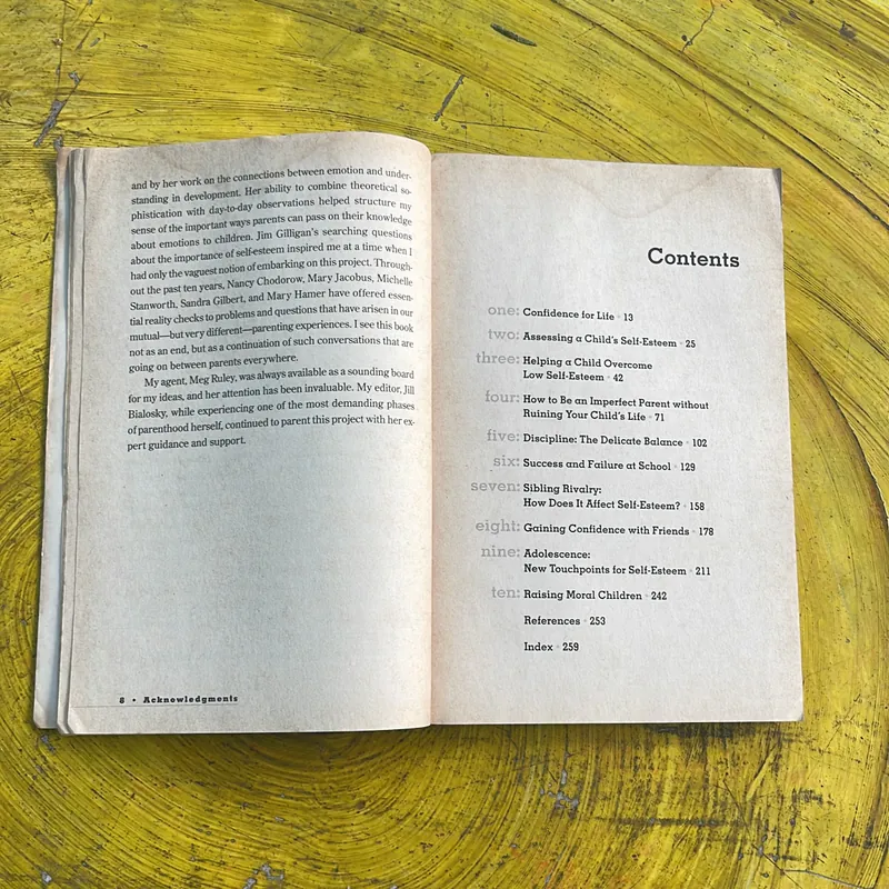 THE CONFIDENT CHILD - TERRI APTER 697193