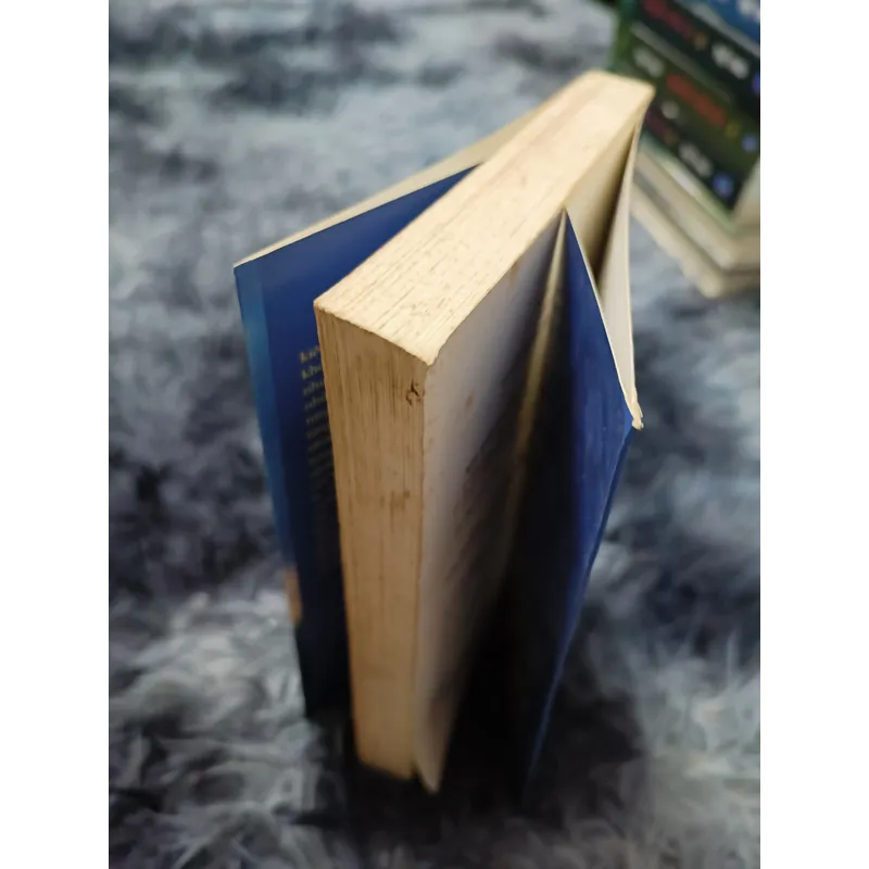 Người yêu dấu (Toni Morrison) 604275